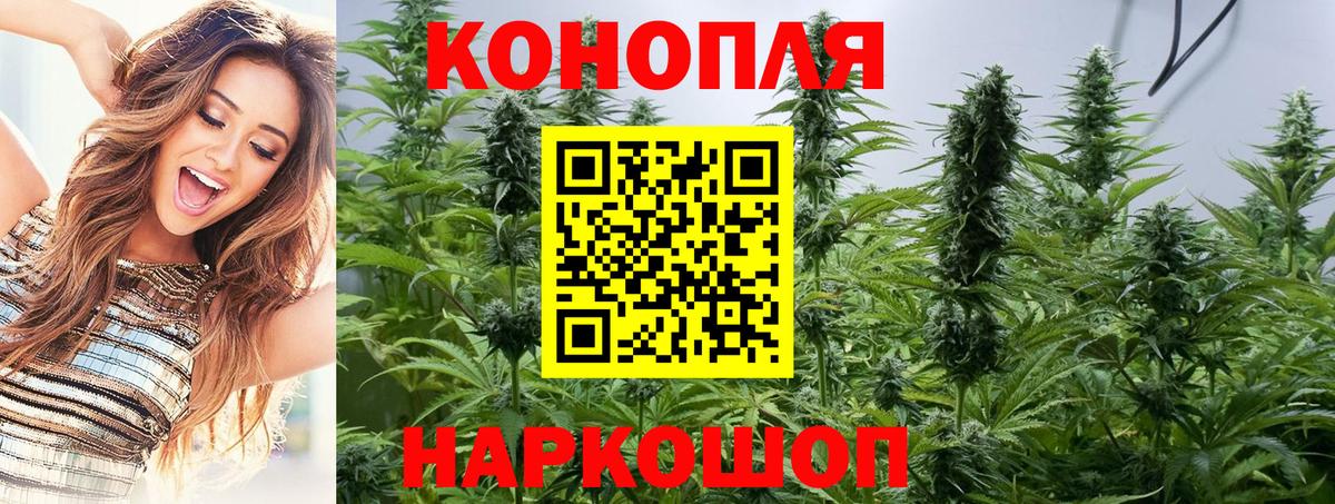 Канабис план Батайск